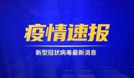 鹿氏集团爆料新闻事件,揭秘新闻事件背后真相