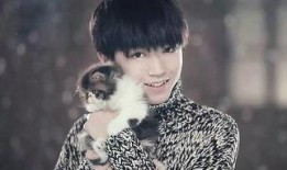 韩娱圈内真实爆料田柾国,韩娱圈背后的真实故事与争议