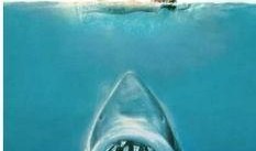 海洋爆料大白鲨事件视频,大白鲨神秘事件视频曝光